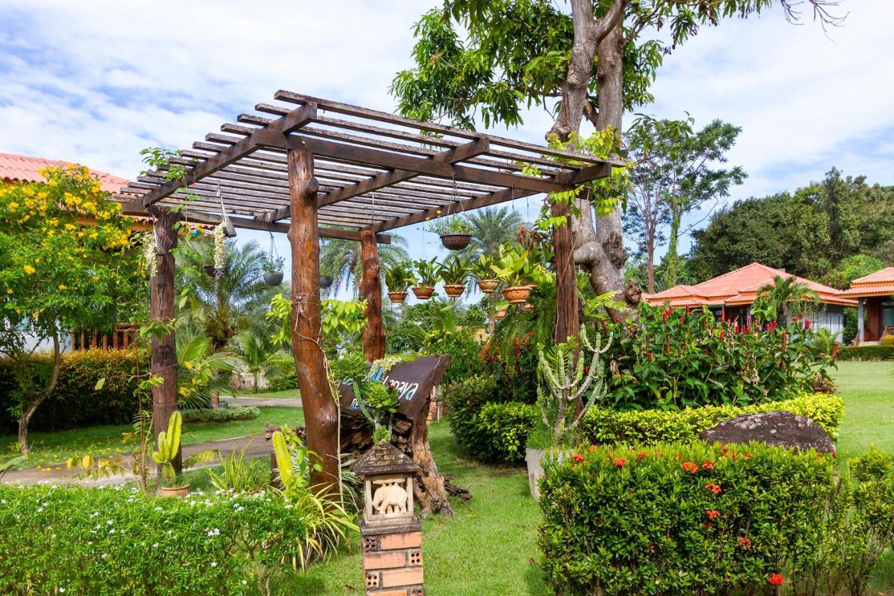 Queen Room Garden View