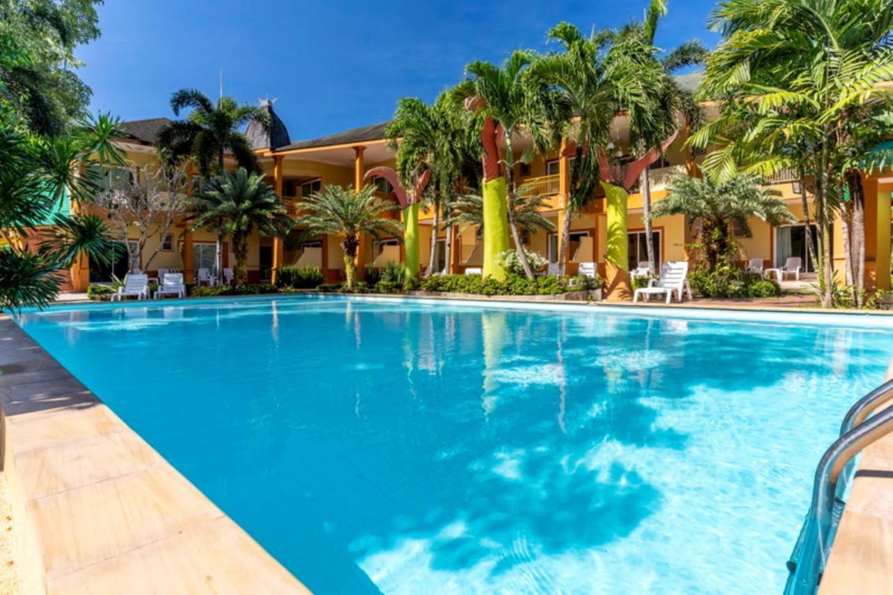 Superior Twin Room with Pool View