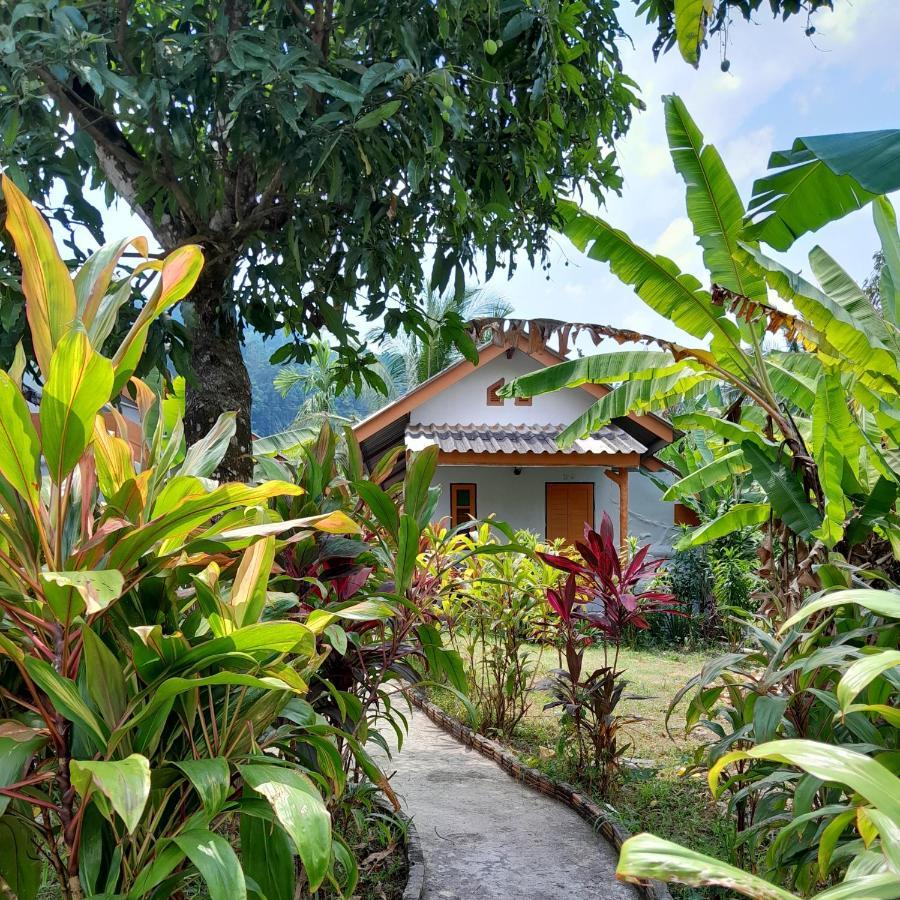 Standard Garden View