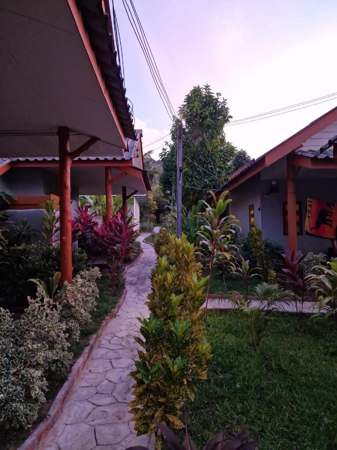 Standard Garden View