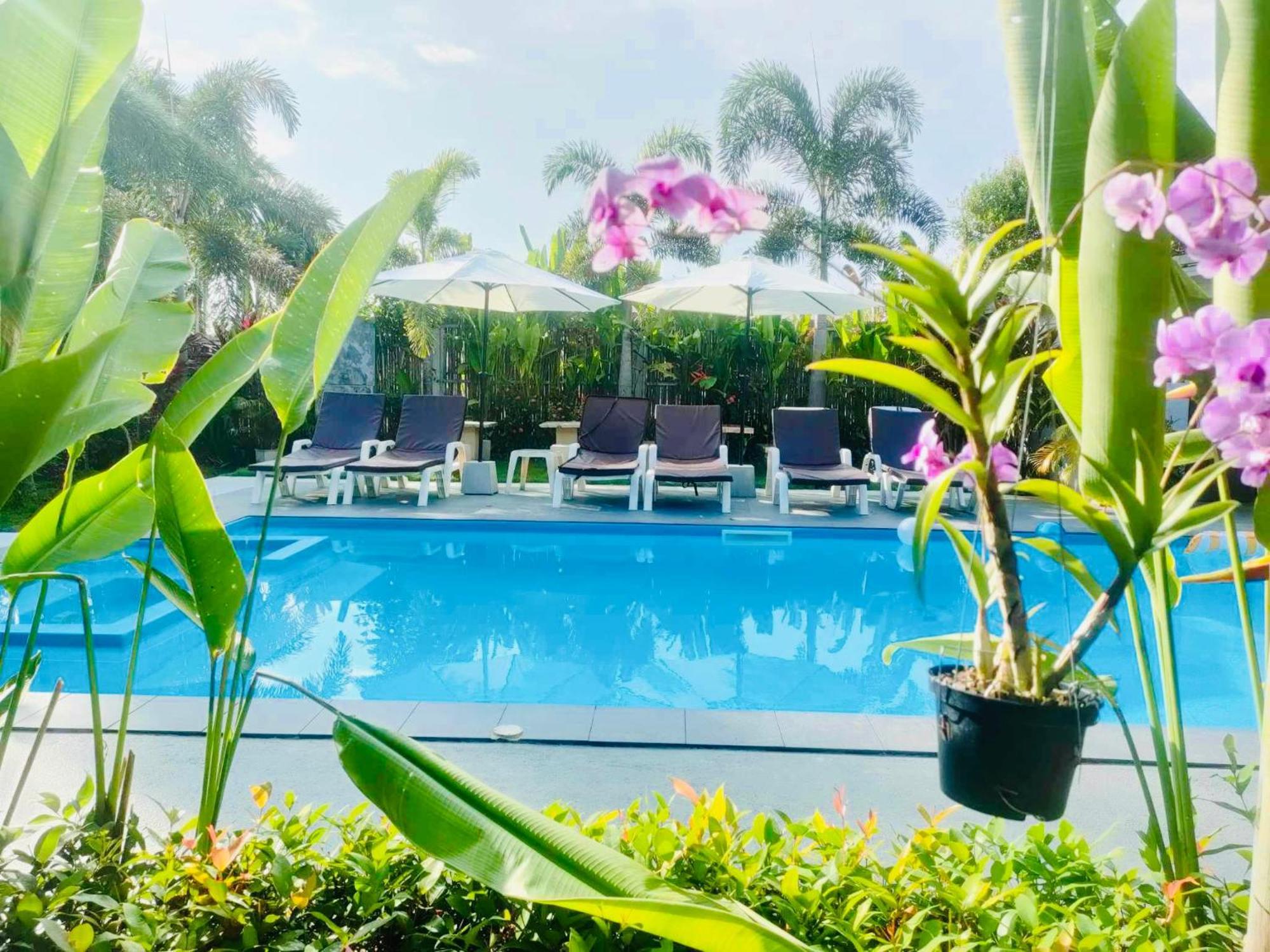 Superiro Pool View