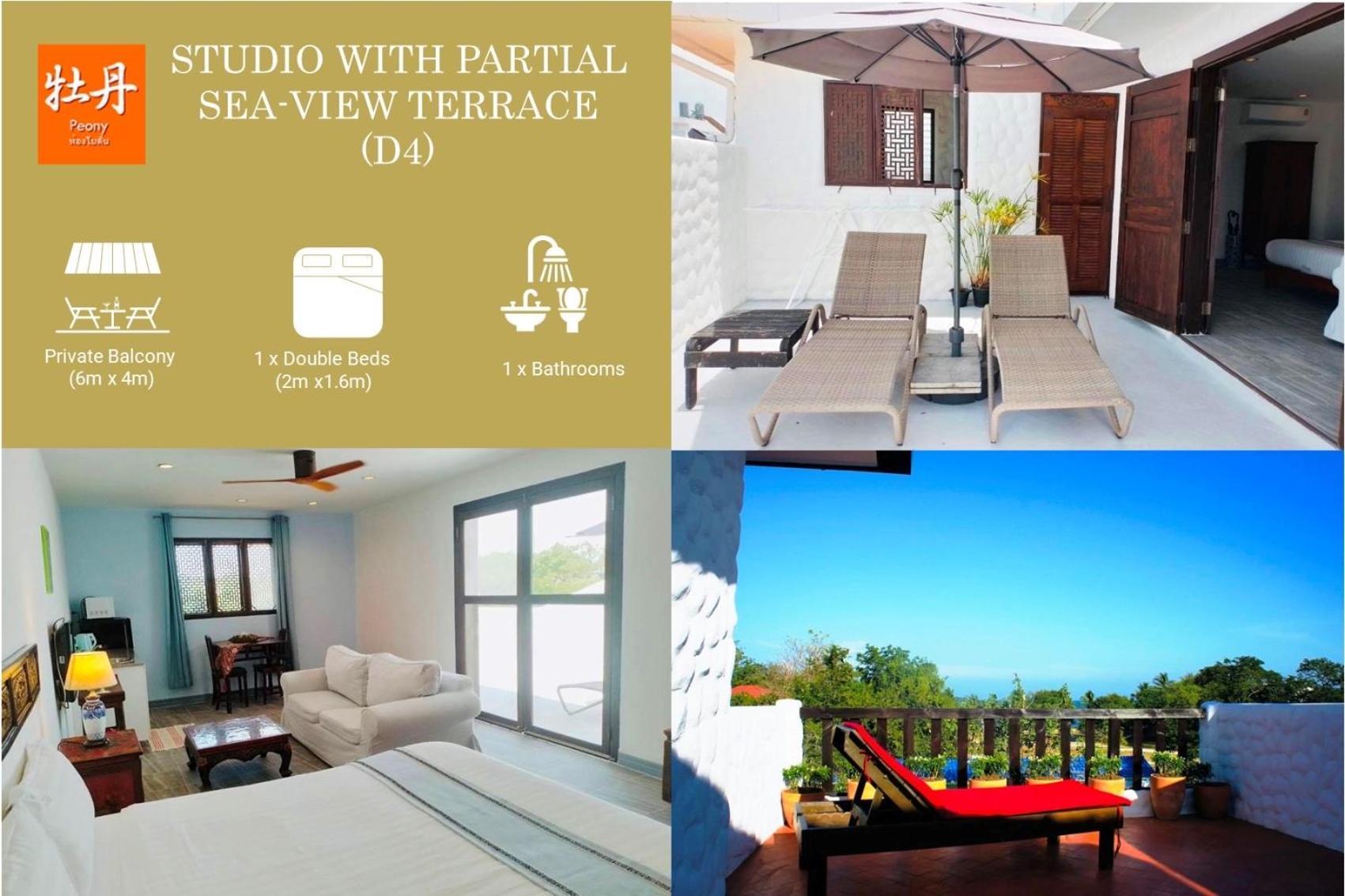 Studio Terrace