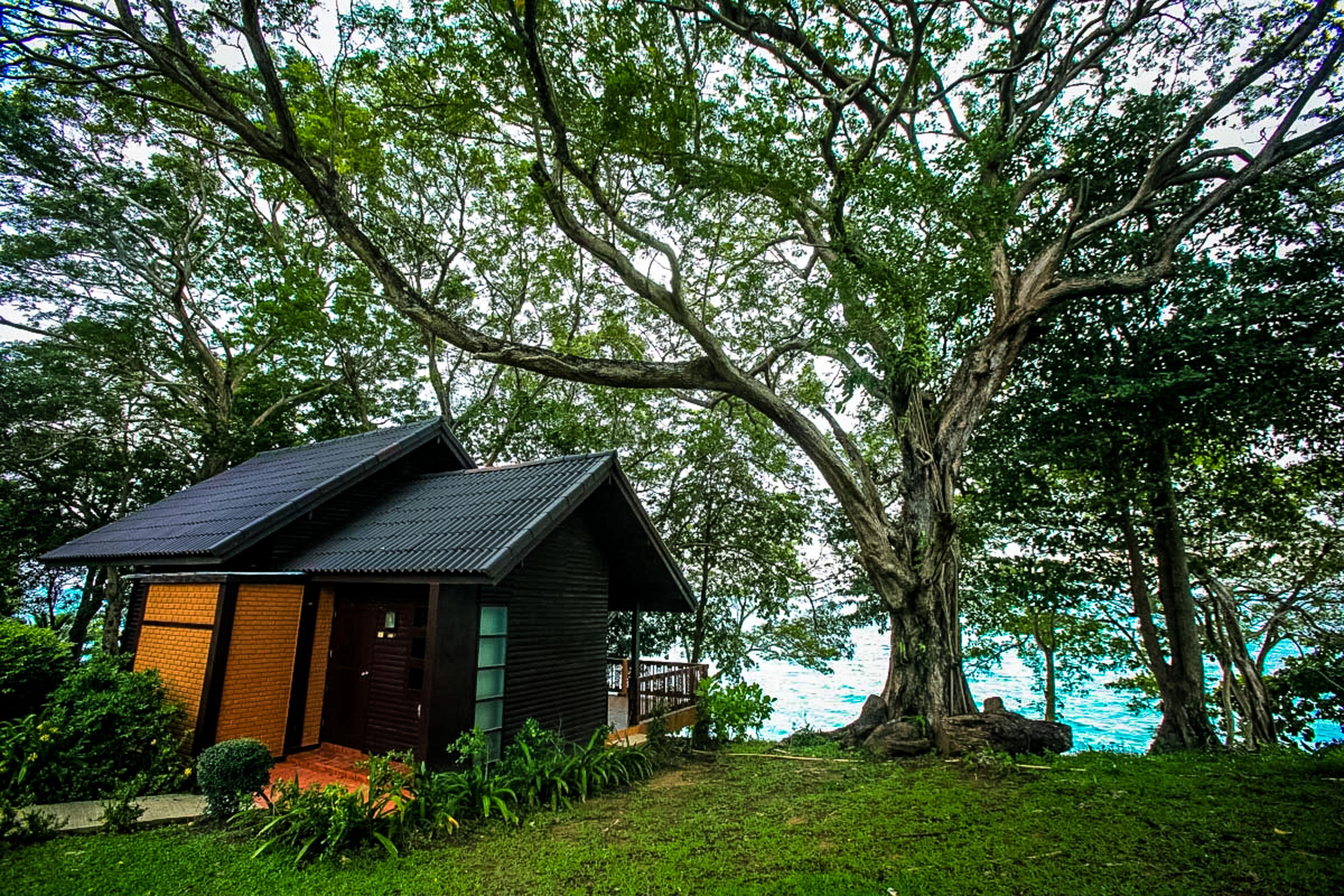 Deluxe Cottage