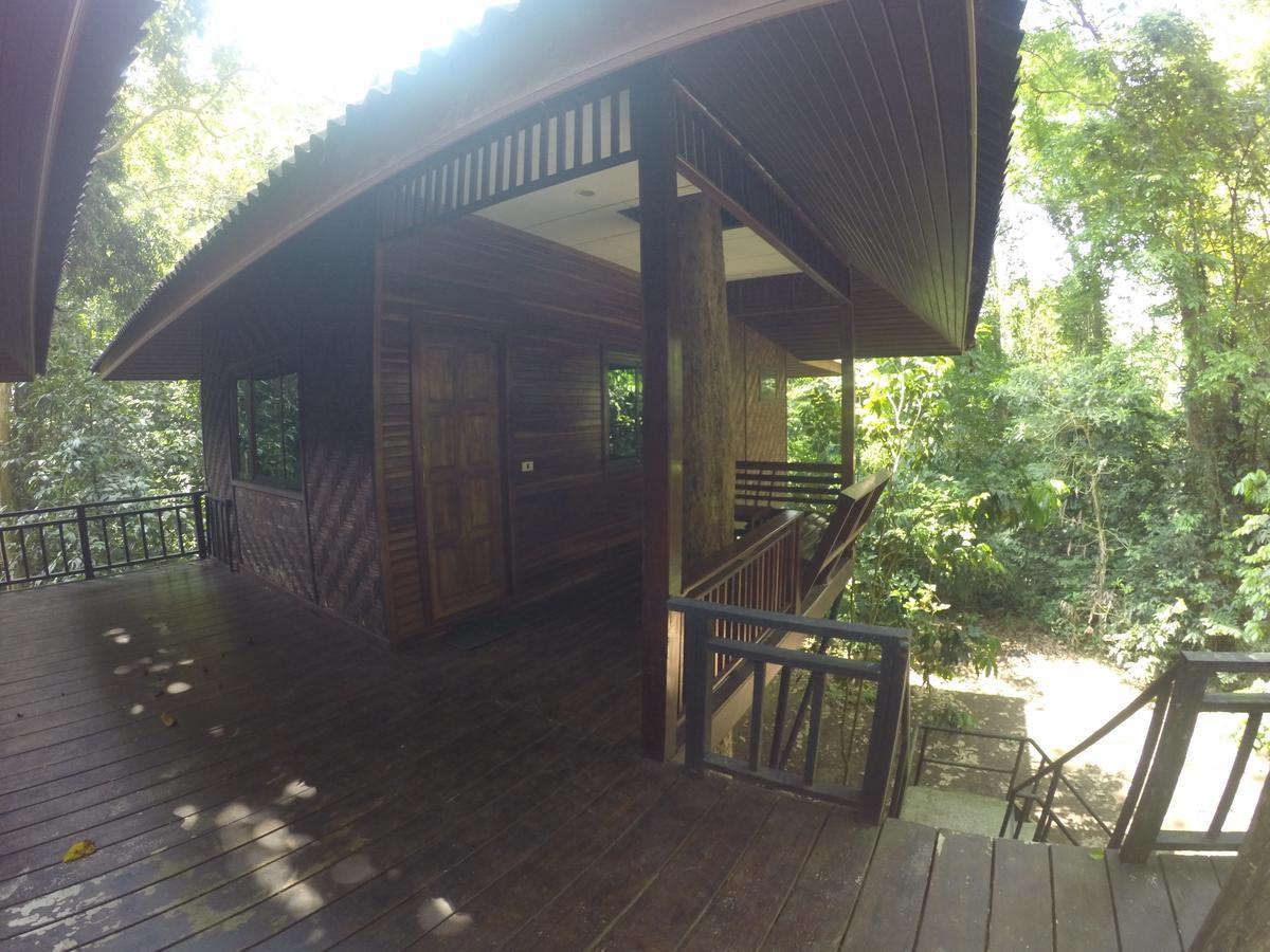 Tree House