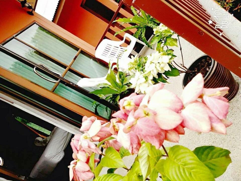 Deluxe Double or Twin Room Garden View