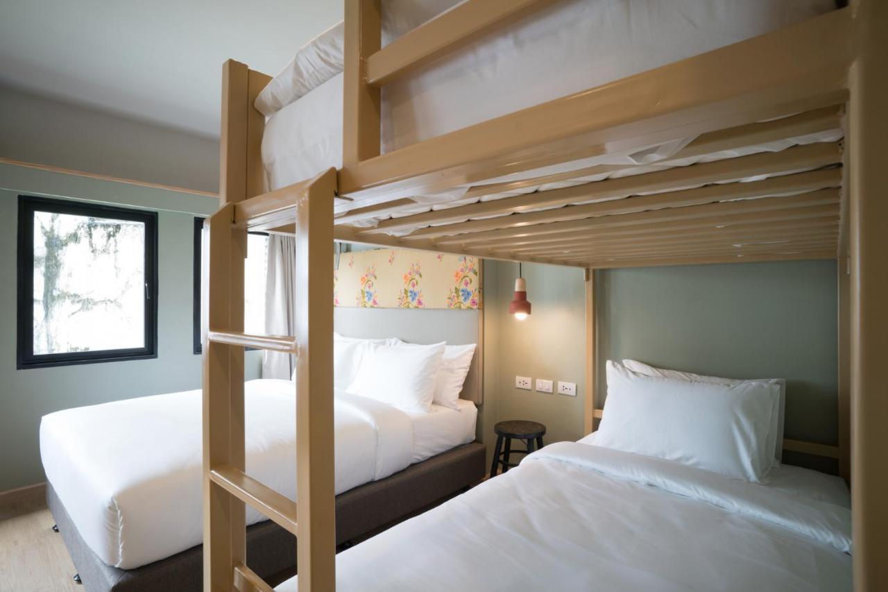 Family Suite Adult bunk bed