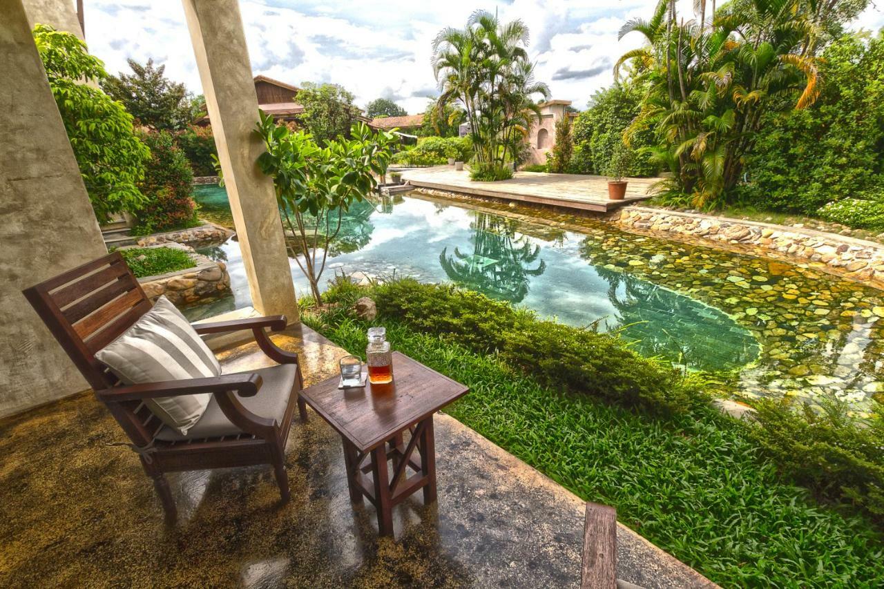 Deluxe Twin Room Pool Access