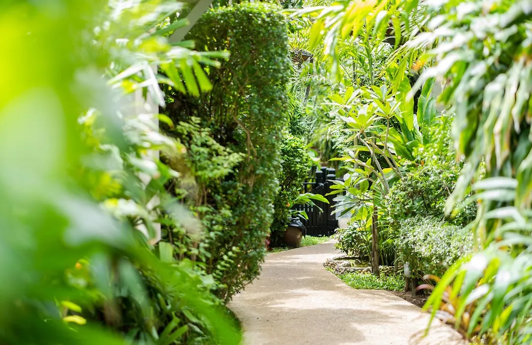 Rummana Boutique Resort - Sha Plus-1