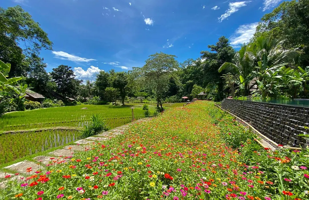 Fern Resort Mae Hong Son-1