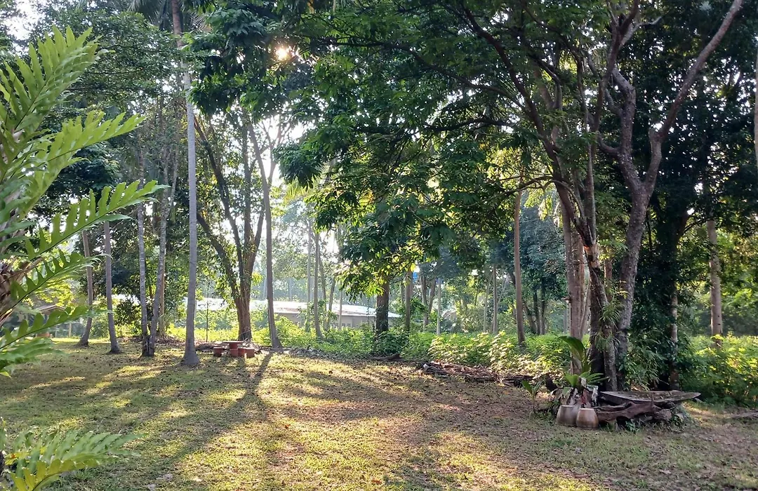 Baan Long Beach-1
