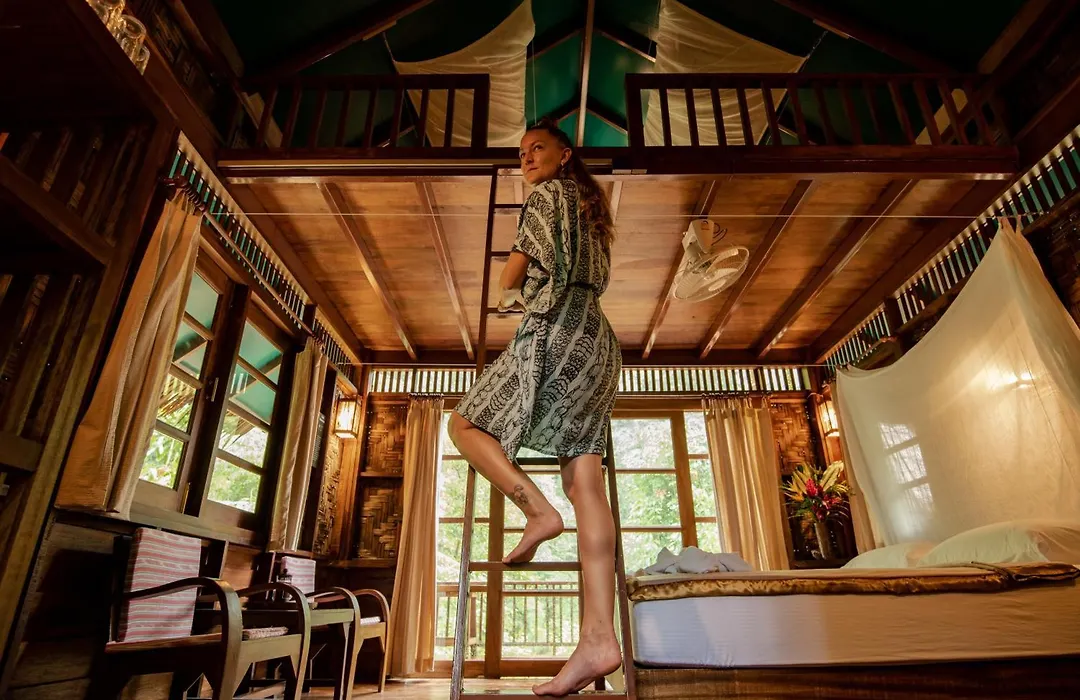 Our Jungle House - SHA Certified-1