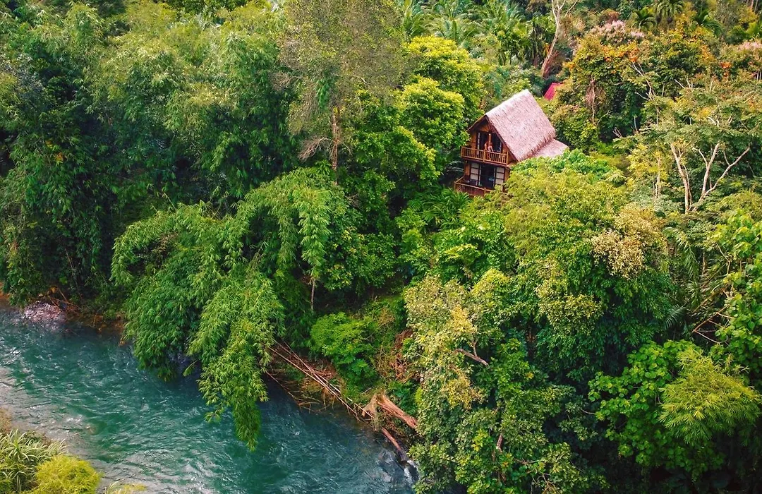 Our Jungle Camp - Eco Resort-1