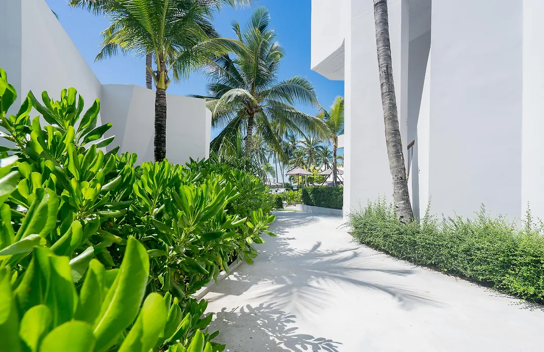 La Vida Samui-1