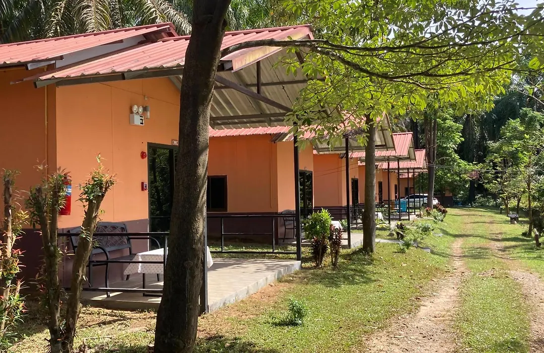 Khao Sok Evergreen House-1