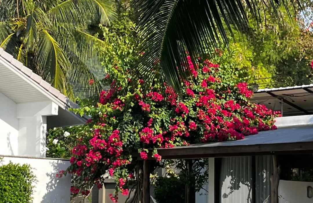 Silan Residence, Koh Phangan - An Authentic Village Experience-1