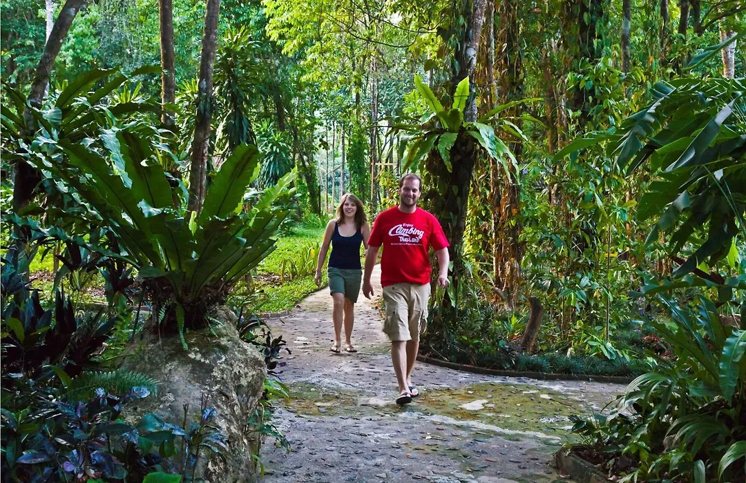 Khao Sok Riverside Cottages-1