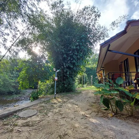 Khaosok Rainforest Resort-2