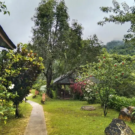 Khao Sok River & Jungle Resort-2