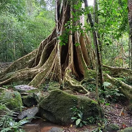 Pakchong Hostel & Wildlife Tour-2