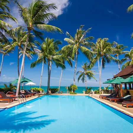 Coco Palm Beach Resort - Sha Extra Plus-3