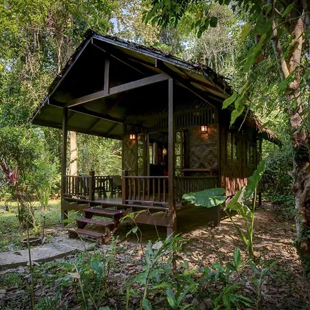 Our Jungle House-2
