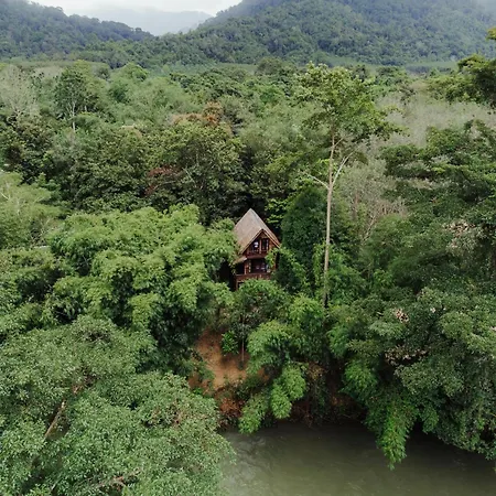 Our Jungle Camp - Eco Resort-2