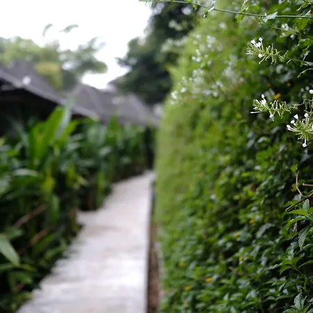 Yoma Hotel, Pai-2