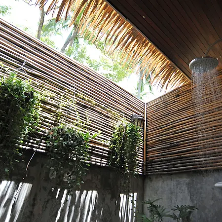 The Jungle Club-2