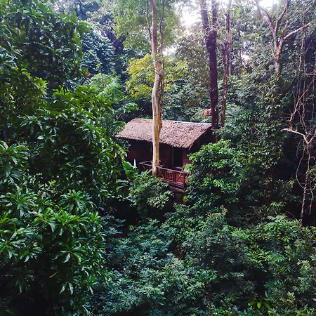 Our Jungle House - SHA Certified-2