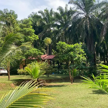 Khao Sok Evergreen House-2