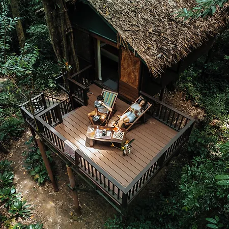 Our Jungle House-2
