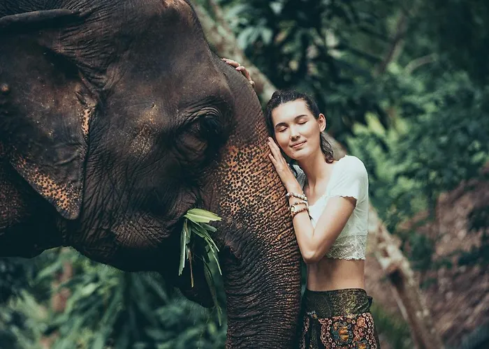 The Chai Lai Orchid Hotel Chiang Mai, Thailandia