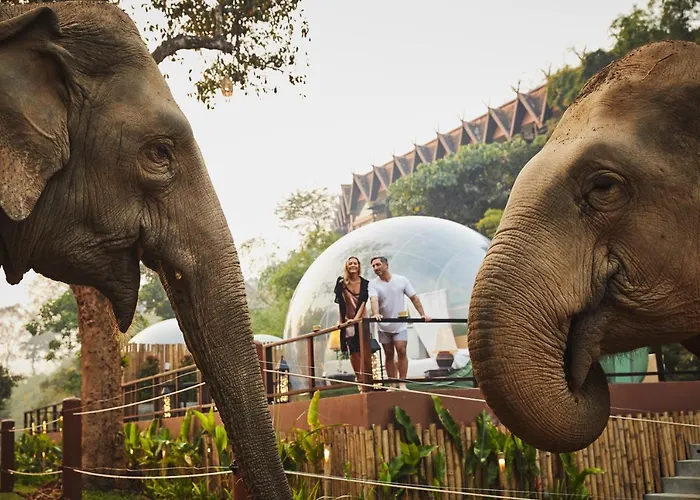 Anantara Golden Triangle Elephant Camp &