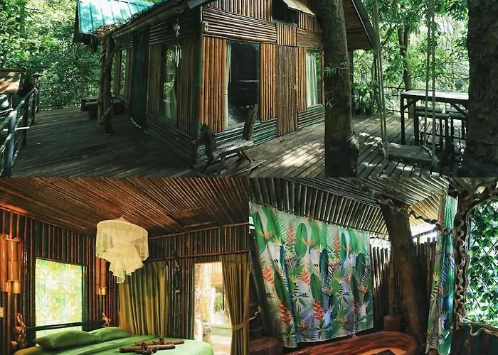 Khao Sok Tree House Resort Khao Sok National Park, Thailand