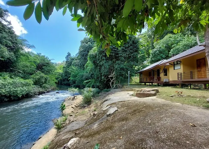 Khaosok Rainforest