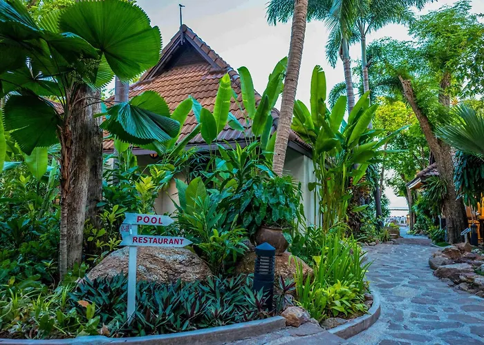 Samui Natien