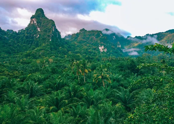 Anurak Community Lodge Khao Sok National Park, Thailand
