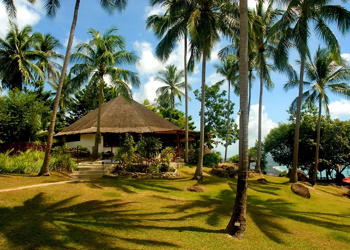 The Jungle Club