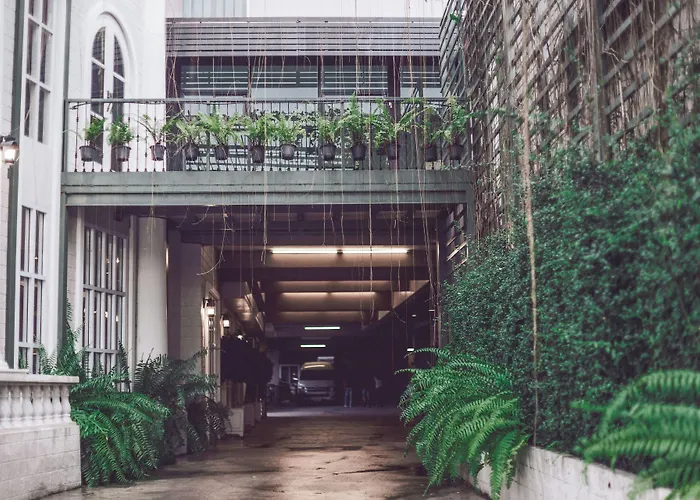 Club Tree Hotel
