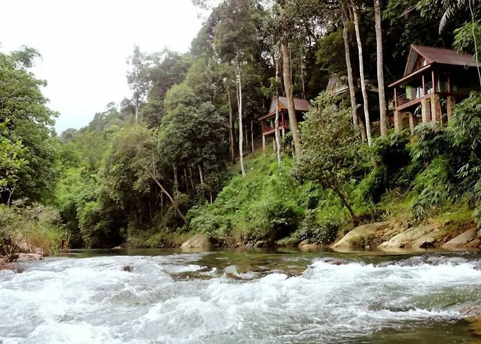 Khaosok Rainforest