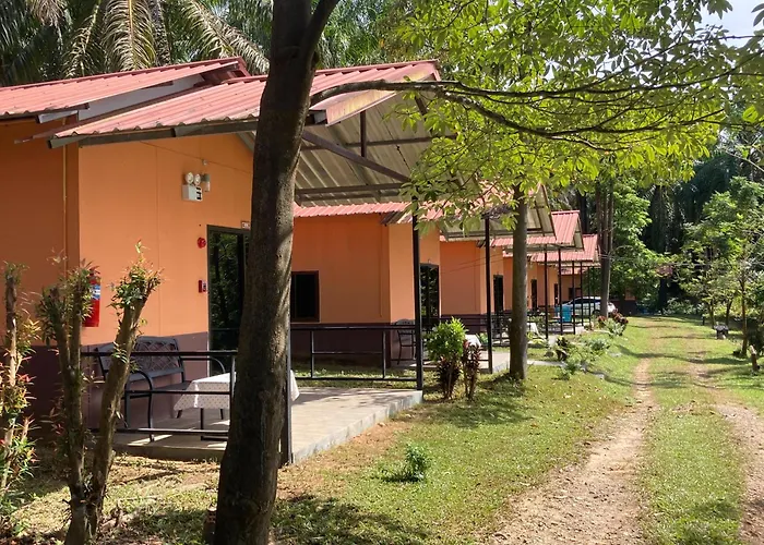 Khao Sok Evergreen House